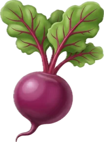 Betterave