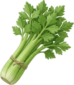Céleri-branche