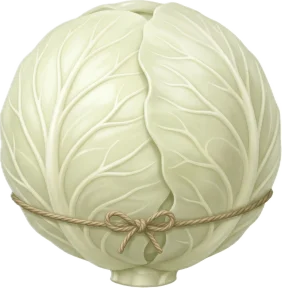 Chou blanc