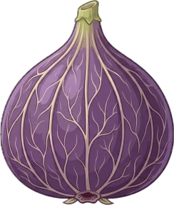 Figue