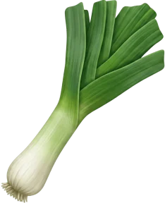 Poireau
